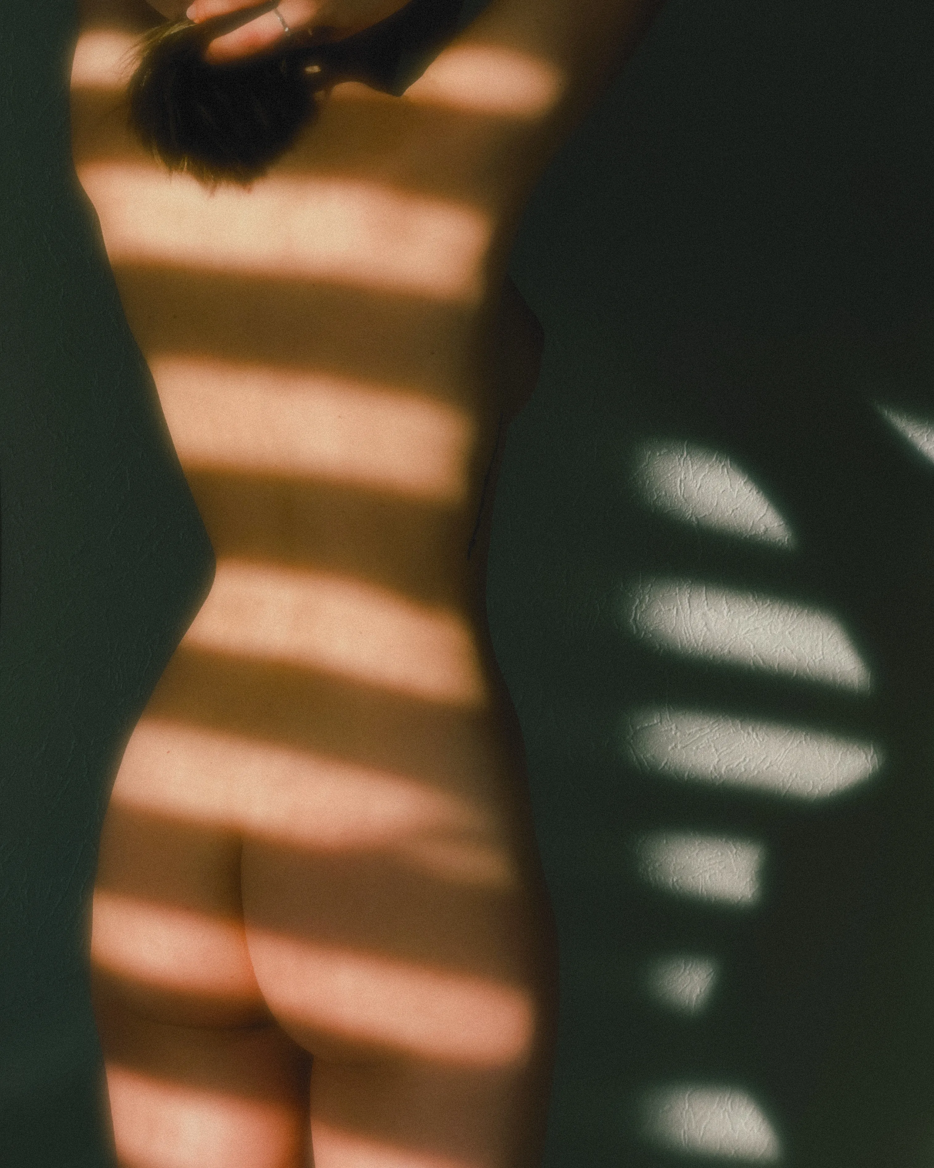 Artistic Nudes — 98